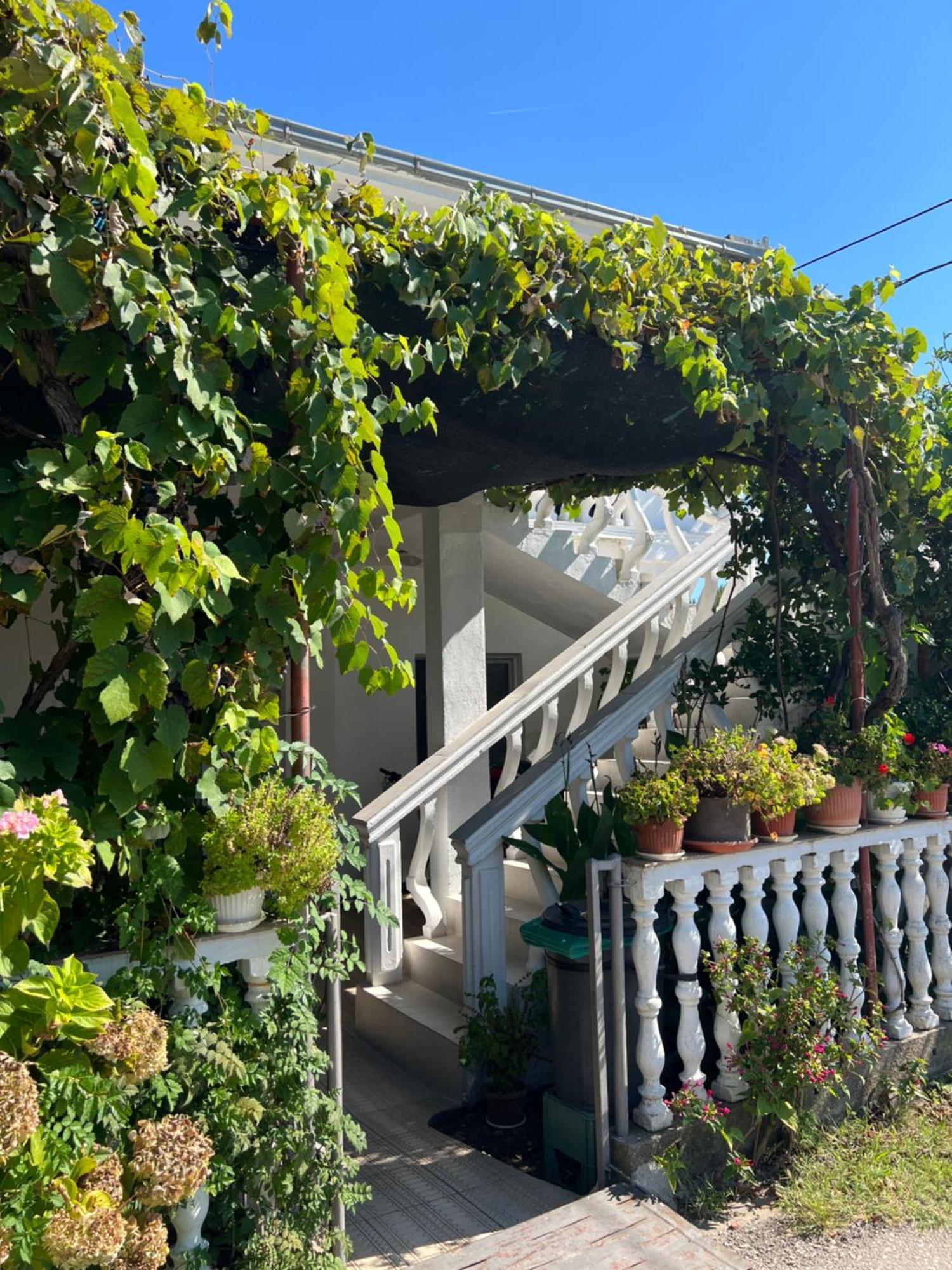 Kastrati Apartments Улцин Екстериор снимка